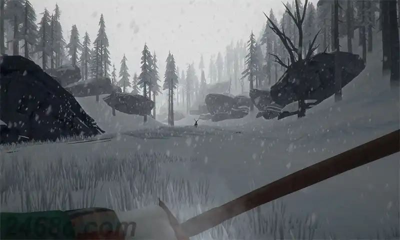 1703122536-663810587680a65.webp 漫漫长夜.The Long Dark | PS4游戏