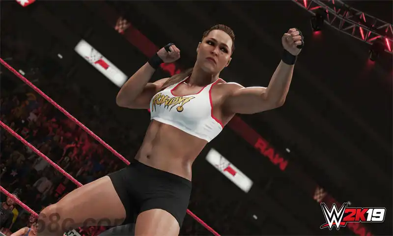 美国职业摔角联盟 2K19.WWE 2K19 | PS4游戏