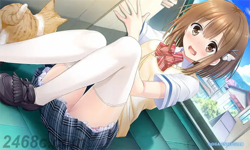 Love Clear | PS4游戏