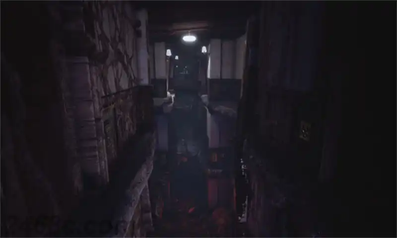 恐惧症：圣汀菲娜酒店.FOBIA: St. Dinfna Hotel | PS4游戏