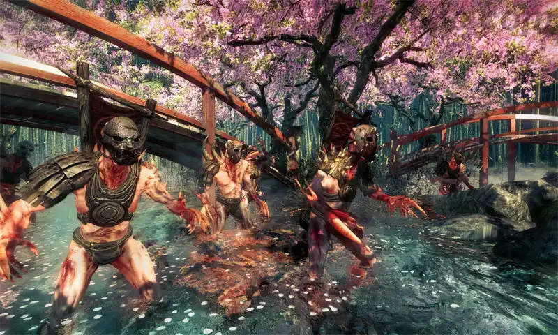影子武士.Shadow Warrior | PS4游戏