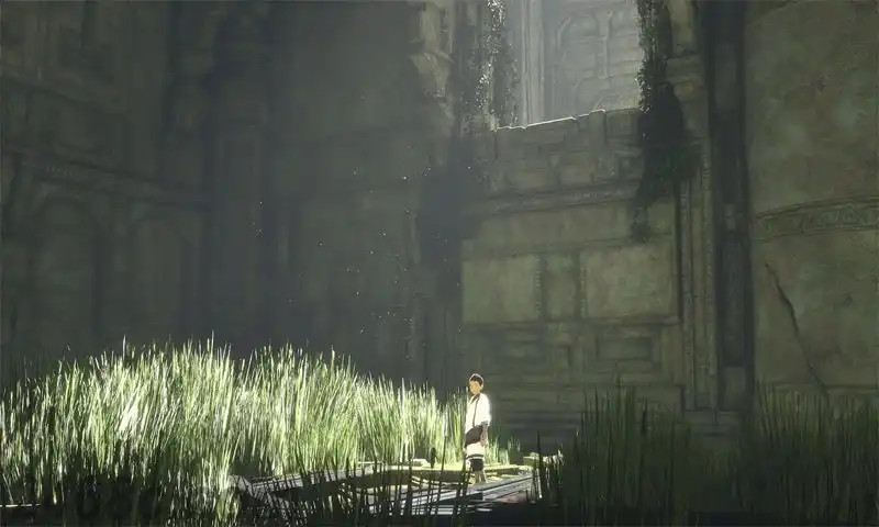 最后的守护者.The Last Guardian | PS4游戏