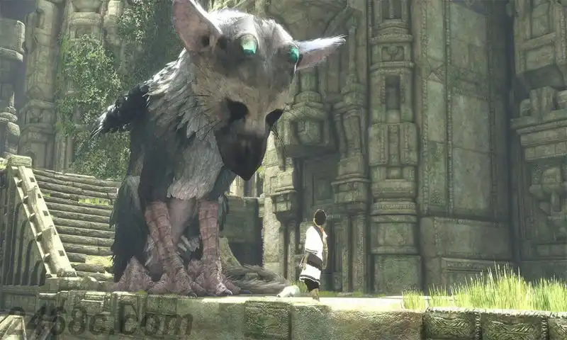 最后的守护者.The Last Guardian | PS4游戏