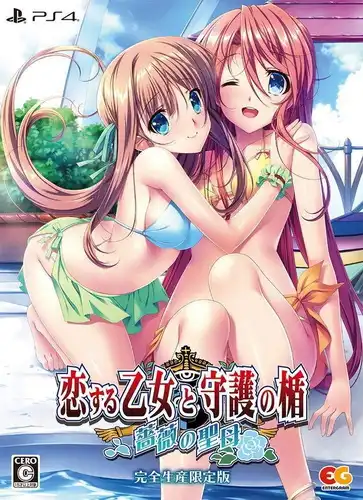恋爱少女与守护之盾：蔷薇的圣母. 恋する乙女と守护の楯～蔷薇の圣母～ | PS4游戏