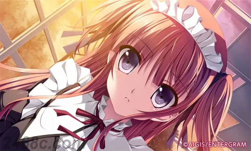 恋爱少女与守护之盾：蔷薇的圣母. 恋する乙女と守护の楯～蔷薇の圣母～ | PS4游戏