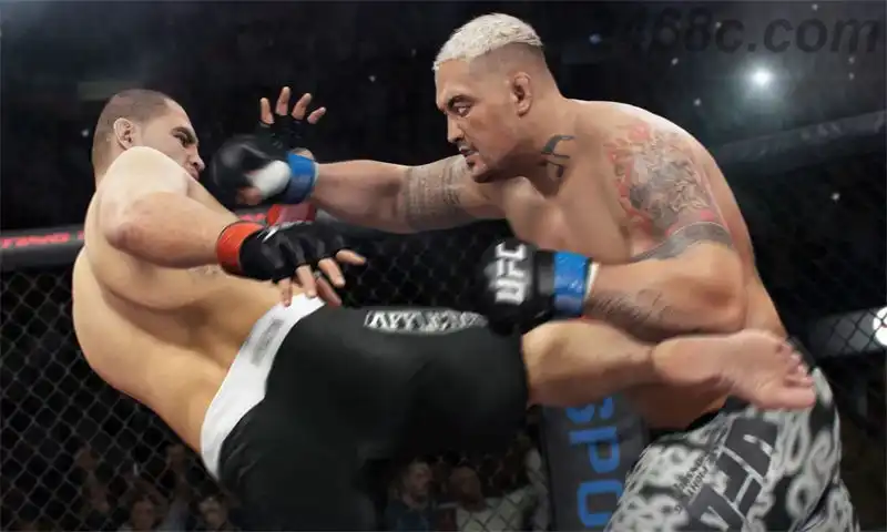 1525597617qNAh.webp EA UFC 终极格斗冠军赛.EA Sports UFC | PS4游戏