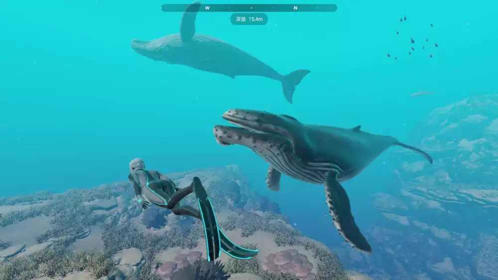 蓝海之外Beyond Blue Switch NSP中文