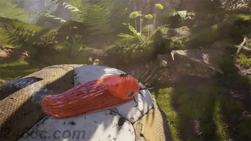 蚂蚁雄兵 Empire of The Ants | PS5游戏