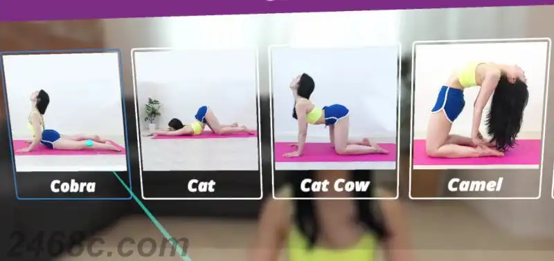 瑜伽课VR Yoga Lesson VR | Steam/PC串流游戏