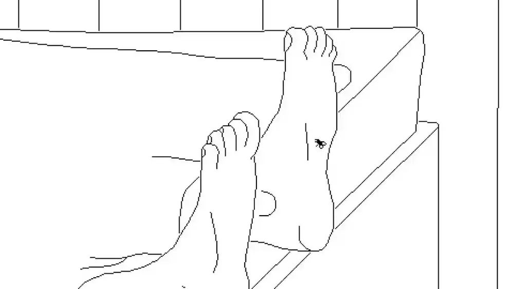 逝者如斯蝇Time Flies+更新1.0.4 Switch NSP中文