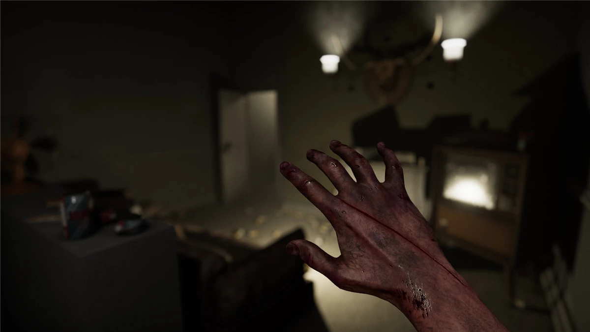 麦迪逊 VR 诅咒版 MADiSON VR Cursed Edition PS5 (简体中文, 韩文, 英文, 泰文, 日文)