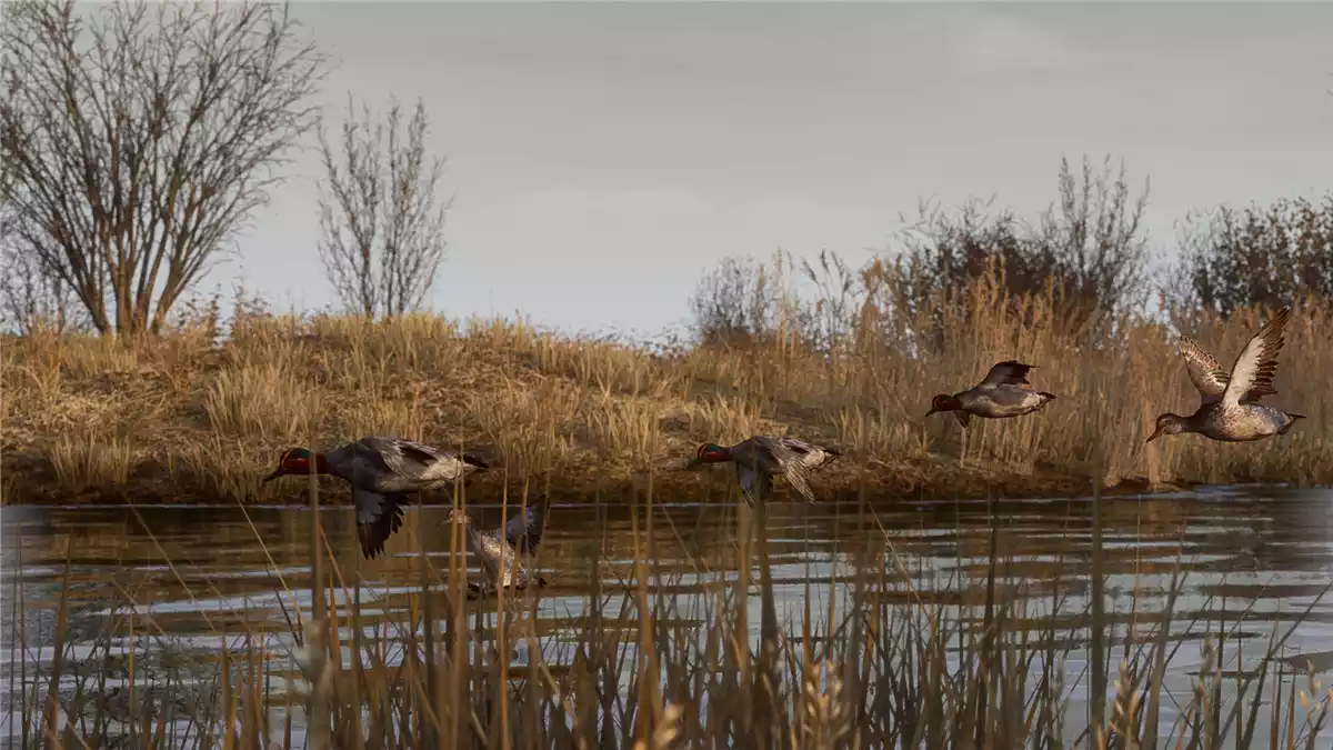 终极狩猎模拟器（Bult: Hunting Simulator）|Build 21292230|PC中文