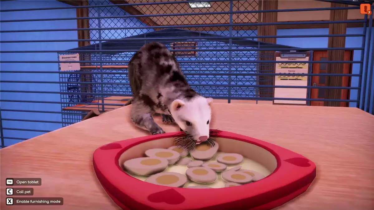 动物收容所 2- 小小伙伴 官中