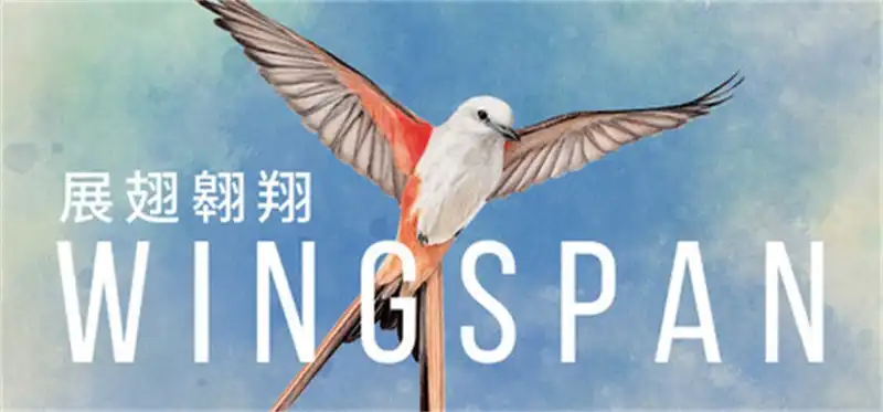 展翅翱翔Wingspan 中文 鸟类主题策略桌游
