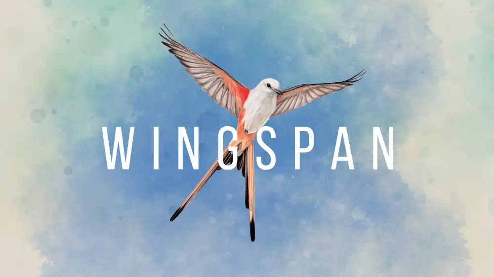 展翅翱翔WINGSPAN+更新1.7.721 Switch NSP中文