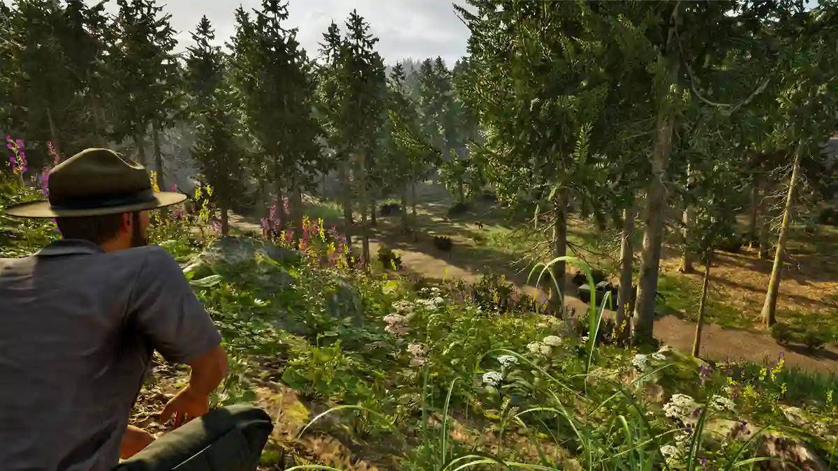 公园护林员模拟器Park Ranger Simulator 中文
