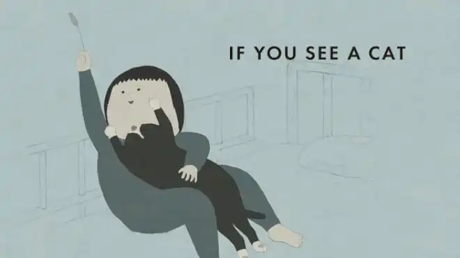 如果你看到一只猫IF YOU SEE A CAT 繁简中文