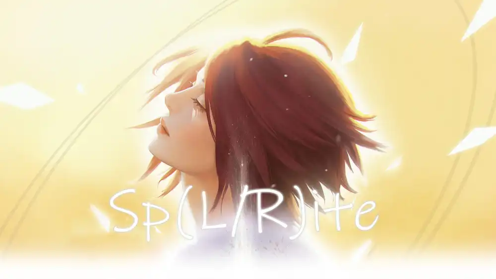 Sp(L/R)ite Switch NSP中文