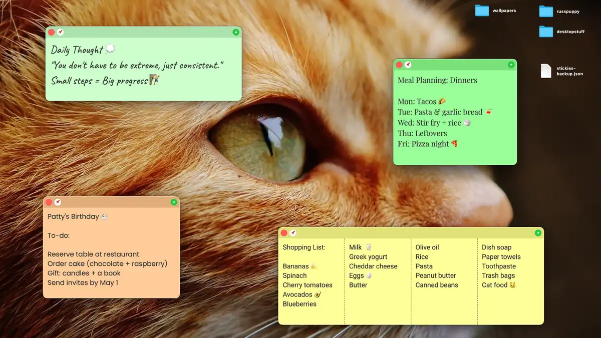纯文本便签 Plain Text Sticky Notes 电脑桌面小便签工具[EN]