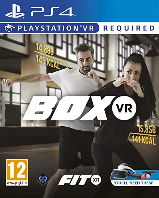 [PS VR]BoxVR