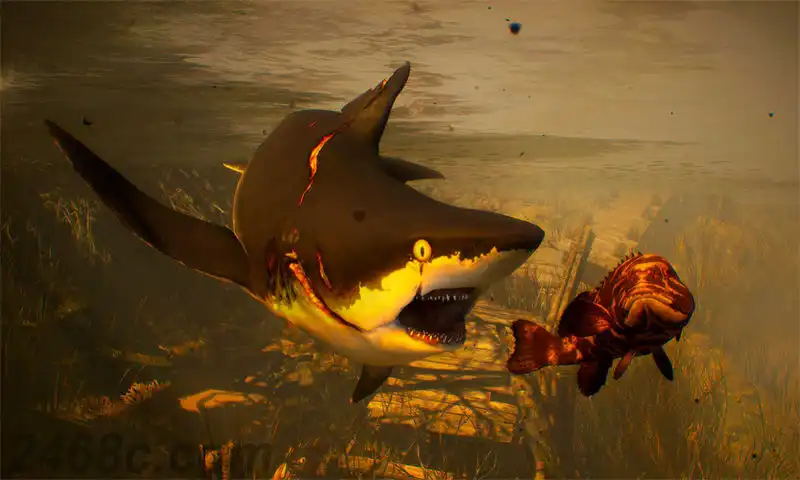 [PS4金手指]食人鲨：顶级掠食者版.Maneater Apex Edition