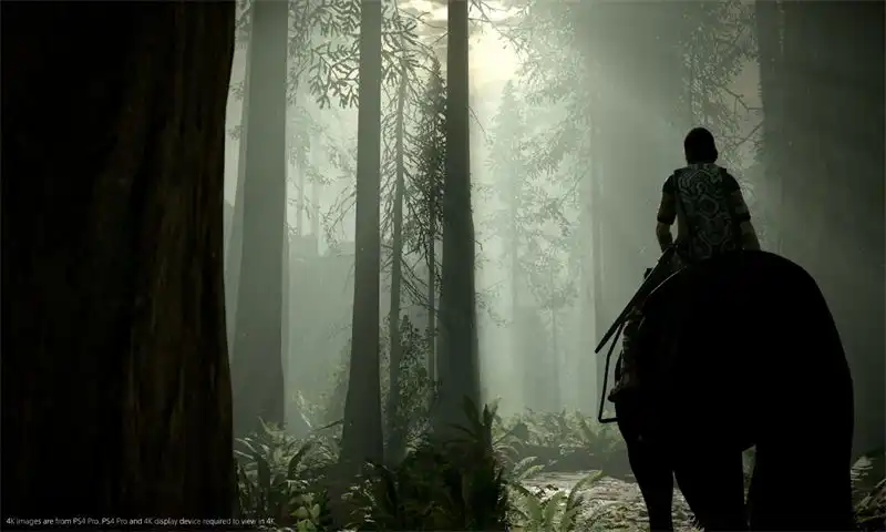 [PS4金手指]旺达与巨像：重制版.Shadow of the Colossus