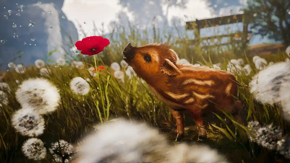 可爱冒险记 Adorable Adventures 官方繁简中文