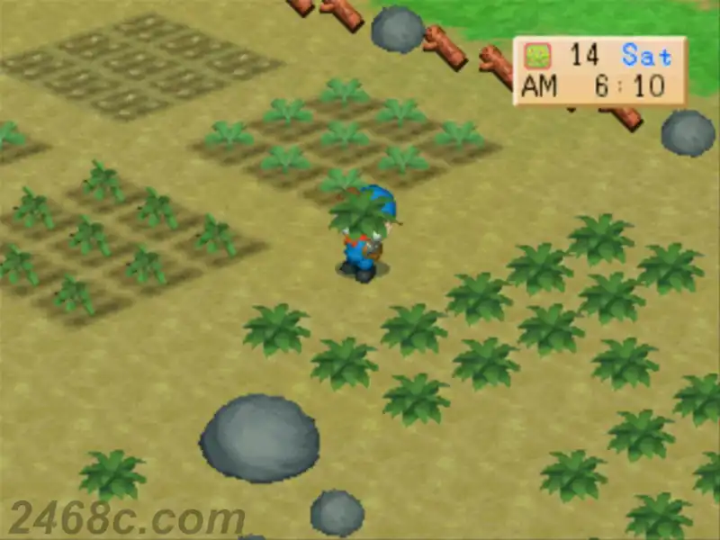 [PS4游戏]牧场物语：中秋满月 Harvest Moon: Back to Nature