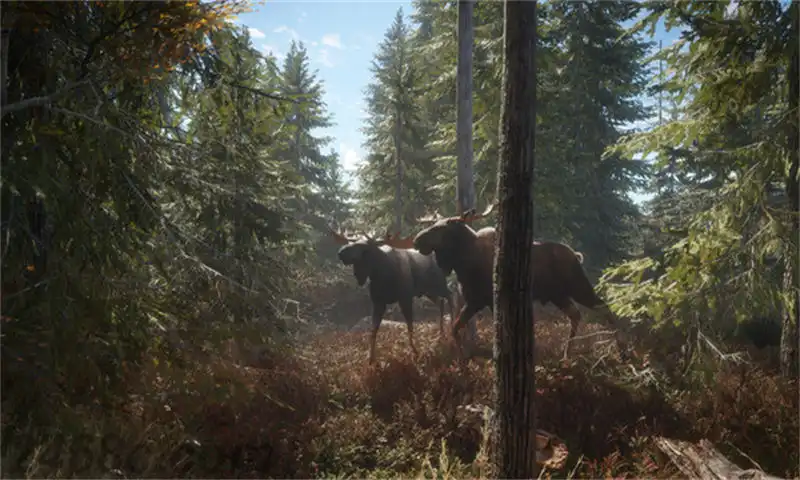 [PS4游戏]猎人：荒野的召唤 – 完整版theHunter: Call of the Wild Complete Collection