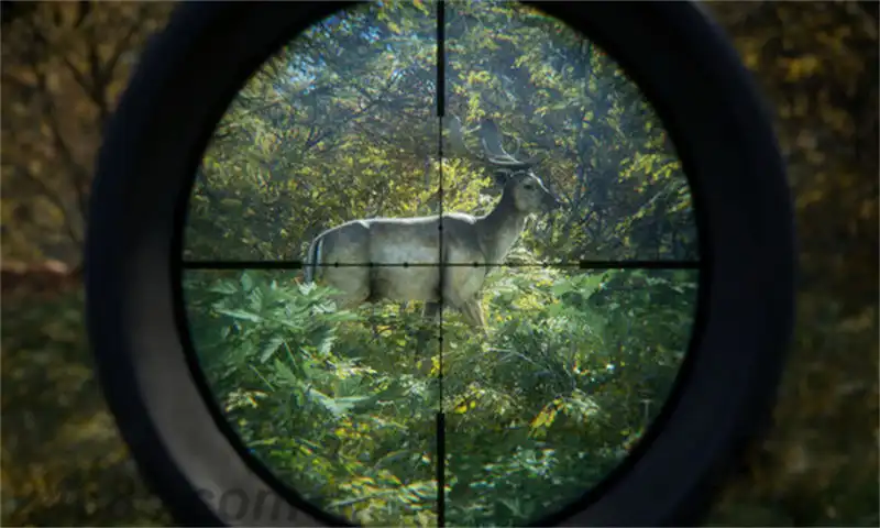 [PS4游戏]猎人：荒野的召唤 – 完整版theHunter: Call of the Wild Complete Collection