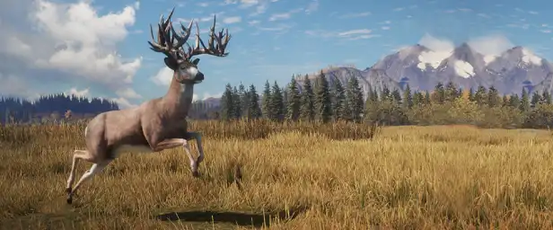 [PS4游戏]猎人：荒野的召唤 – 完整版theHunter: Call of the Wild Complete Collection