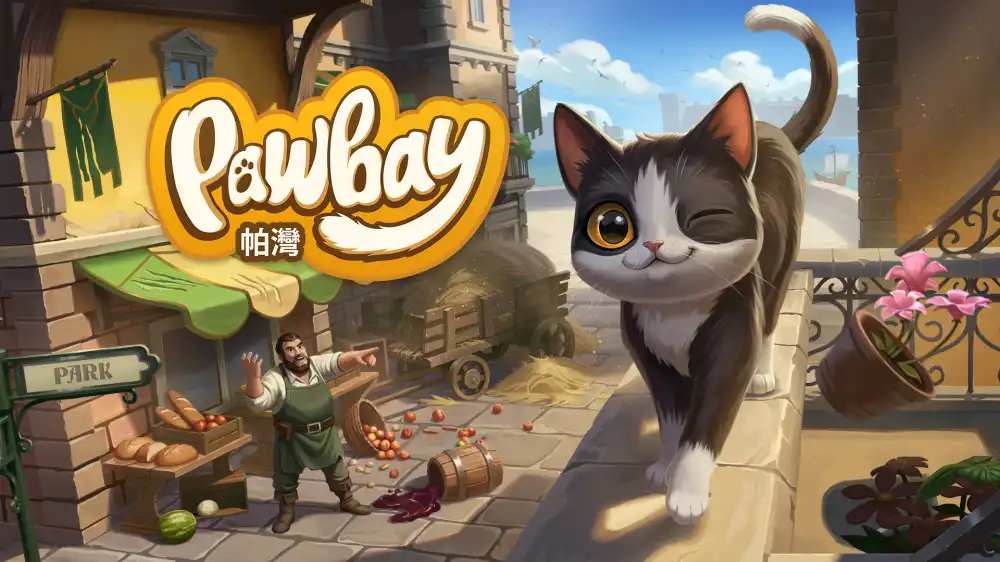 帕湾 Pawbay Switch NSP中文