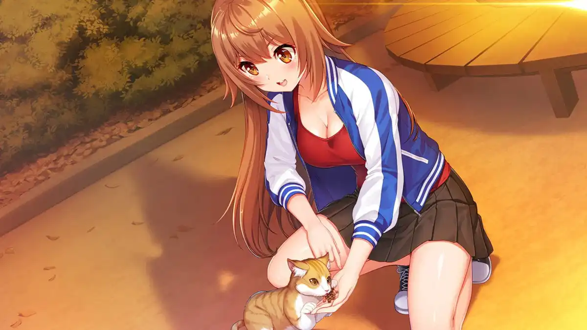秋叶原恋爱三部曲 Days Collection Akiba Heroines Switch XCI中文